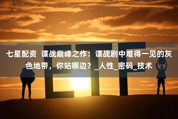七星配资  谍战巅峰之作：谍战剧中难得一见的灰色地带，你站哪边？_人性_密码_技术