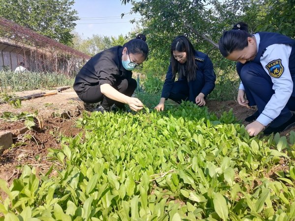 元富证券 河北高速集团京秦分公司工会启动职工“小菜园”建设活动