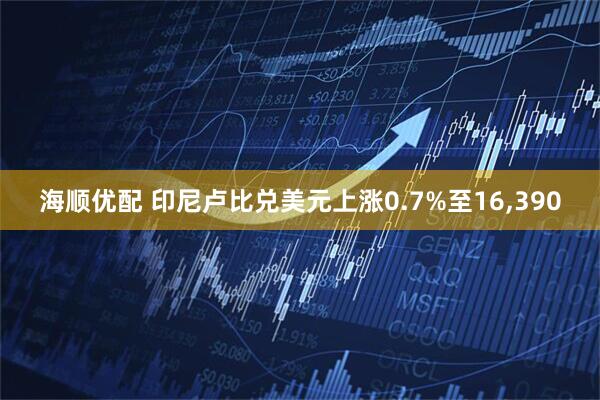 海顺优配 印尼卢比兑美元上涨0.7%至16,390