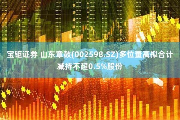 宝钜证券 山东章鼓(002598.SZ)多位董高拟合计减持不超0.5%股份