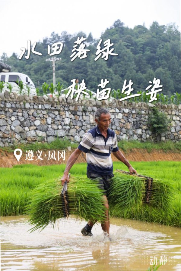 长江云配 勤劳迎夏至，奋斗绘“丰”景