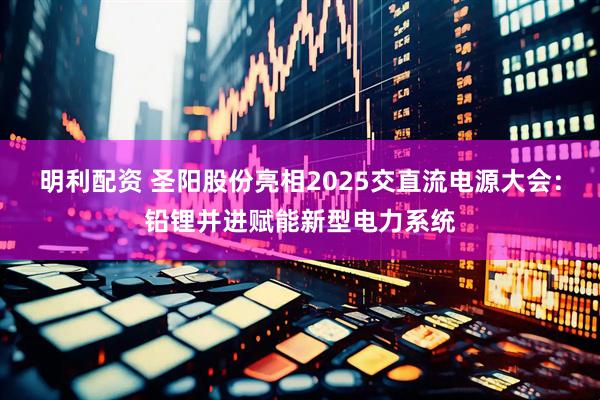 明利配资 圣阳股份亮相2025交直流电源大会：铅锂并进赋能新型电力系统