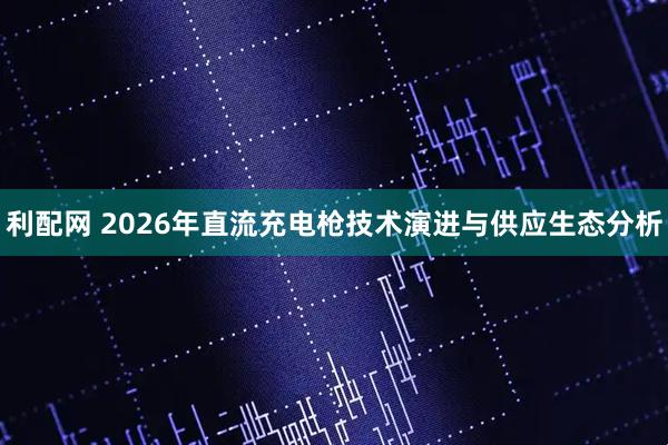 利配网 2026年直流充电枪技术演进与供应生态分析